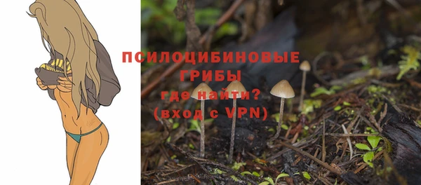 spice Осинники