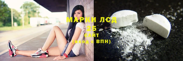 spice Осинники