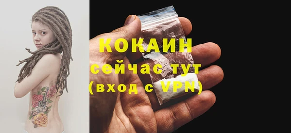 spice Осинники