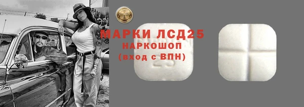 spice Осинники