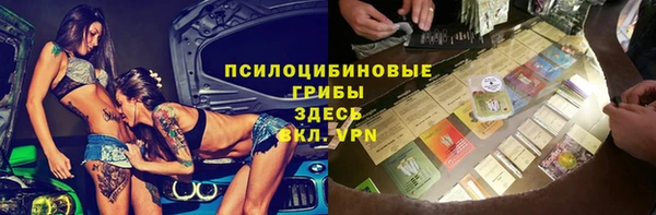 spice Осинники