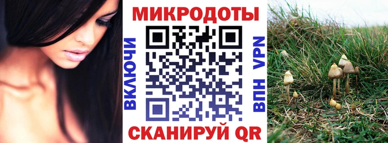 Псилоцибиновые грибы Cubensis  Кизел 